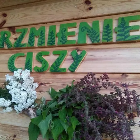 Gniewoszów Brzmienie Ciszy Domaszkow